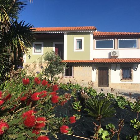 Quinta De Mocamedes - Turismo De Habitacao Hotel Vouzela Buitenkant foto