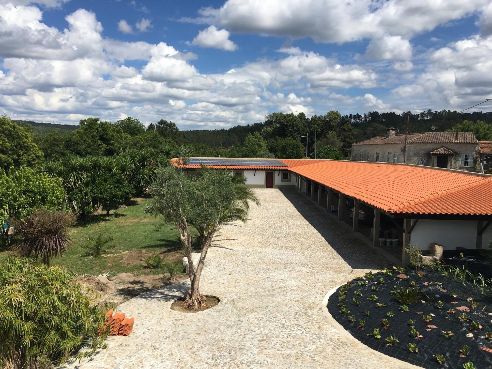 Quinta De Mocamedes - Turismo De Habitacao Hotel Vouzela Buitenkant foto
