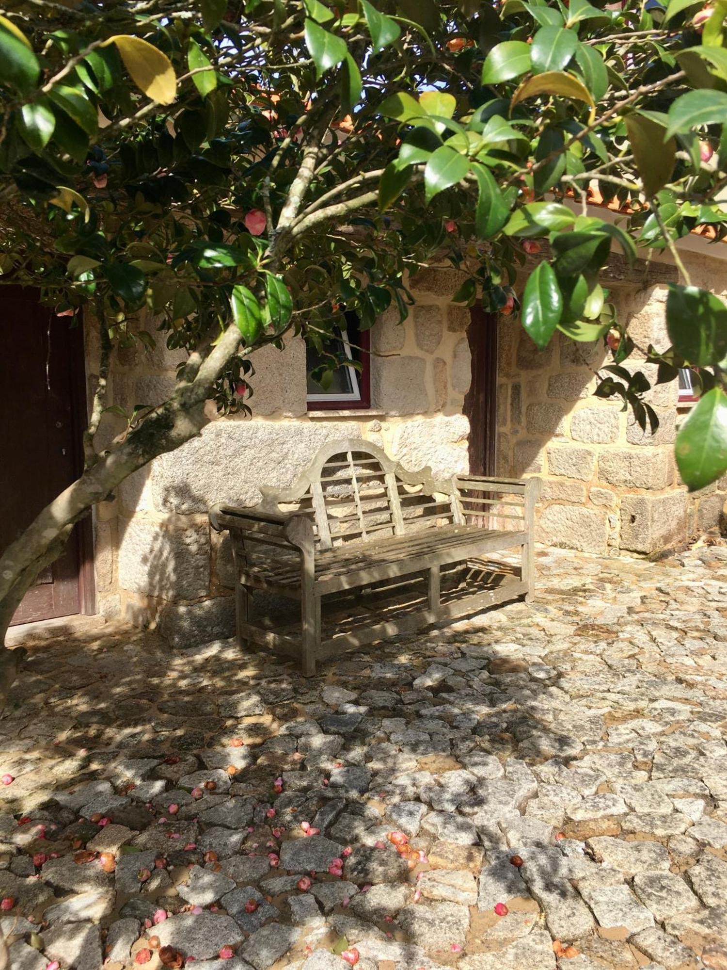 Quinta De Mocamedes - Turismo De Habitacao Hotel Vouzela Buitenkant foto