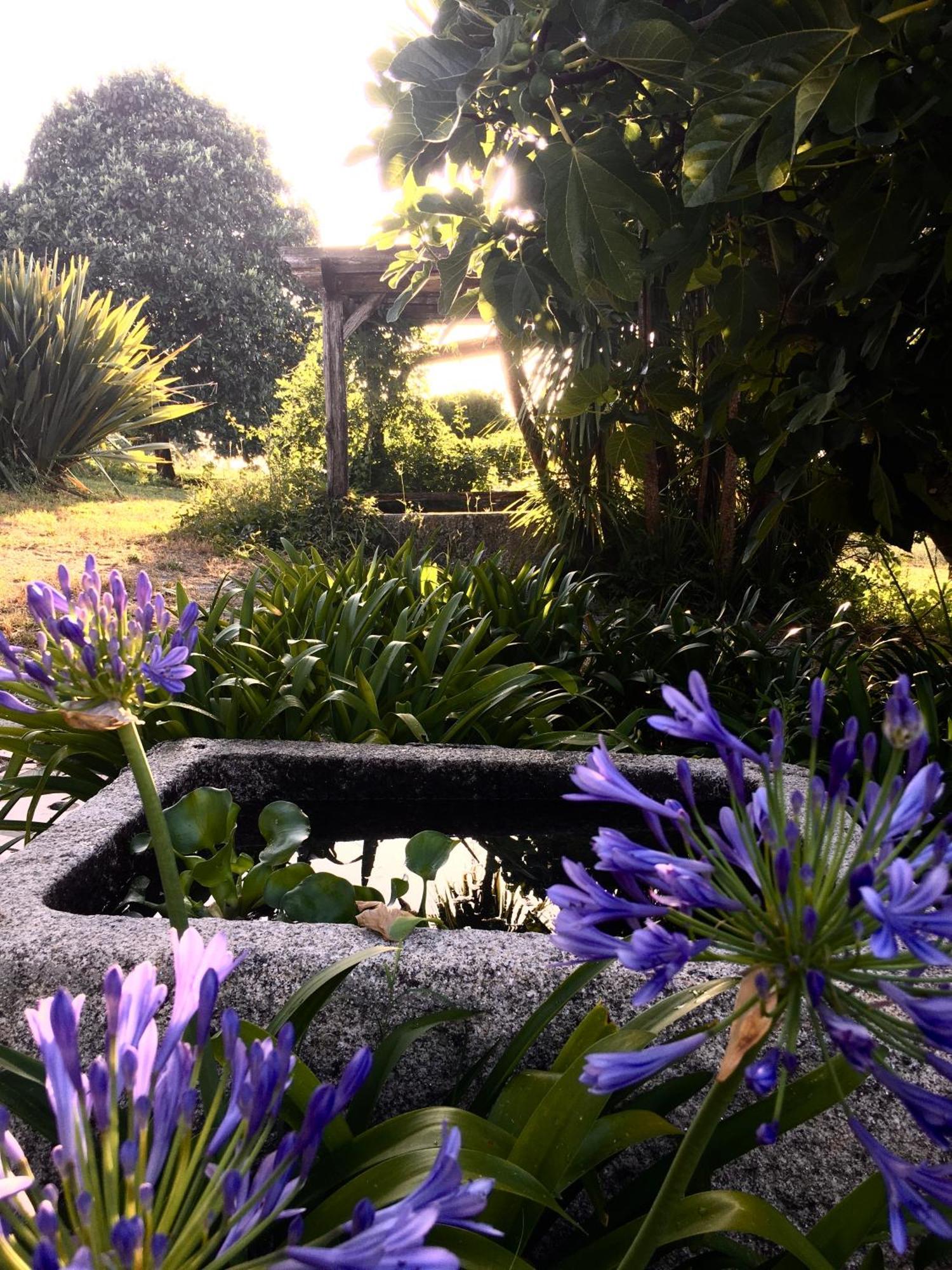 Quinta De Mocamedes - Turismo De Habitacao Hotel Vouzela Buitenkant foto