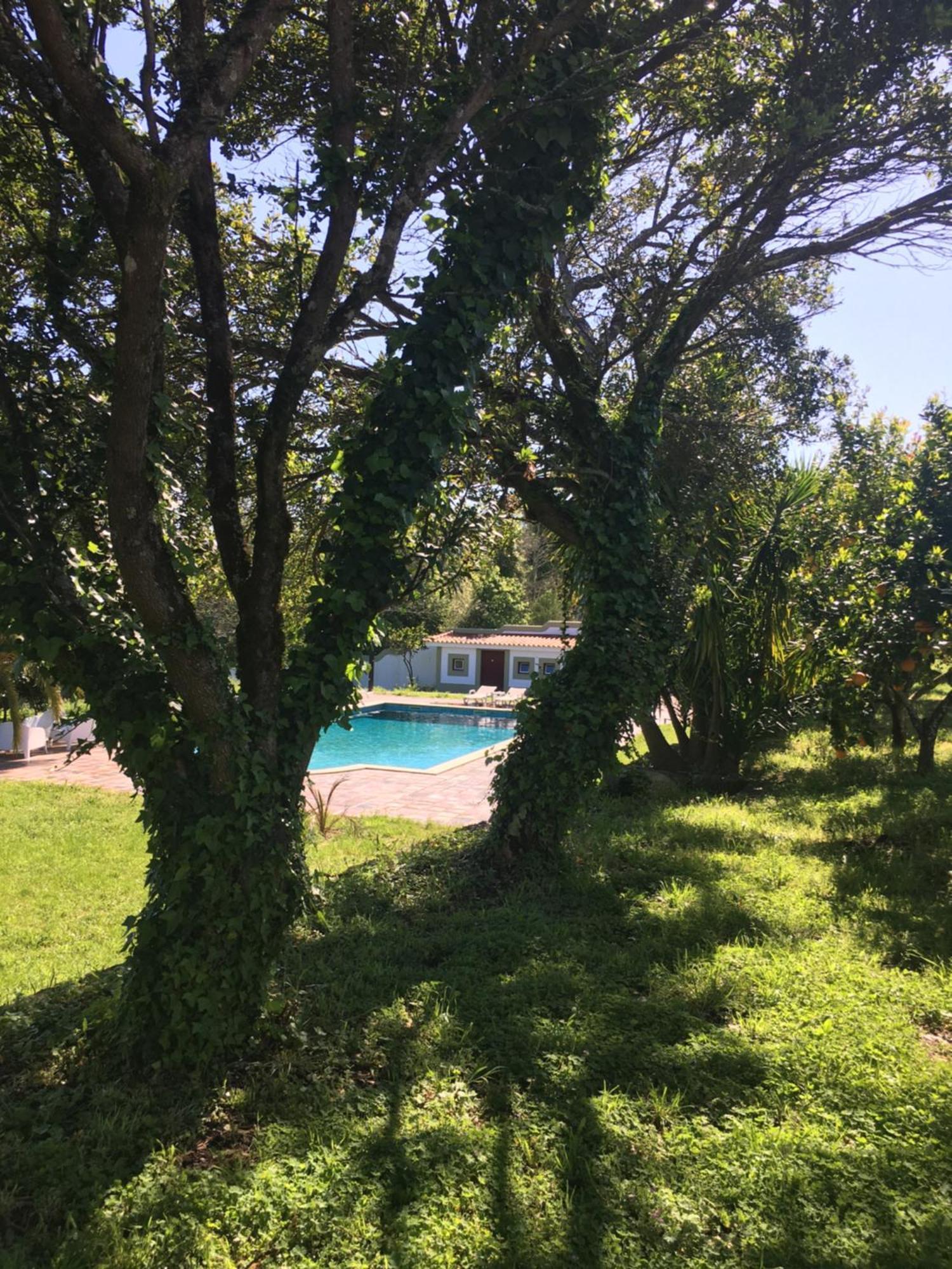Quinta De Mocamedes - Turismo De Habitacao Hotel Vouzela Buitenkant foto